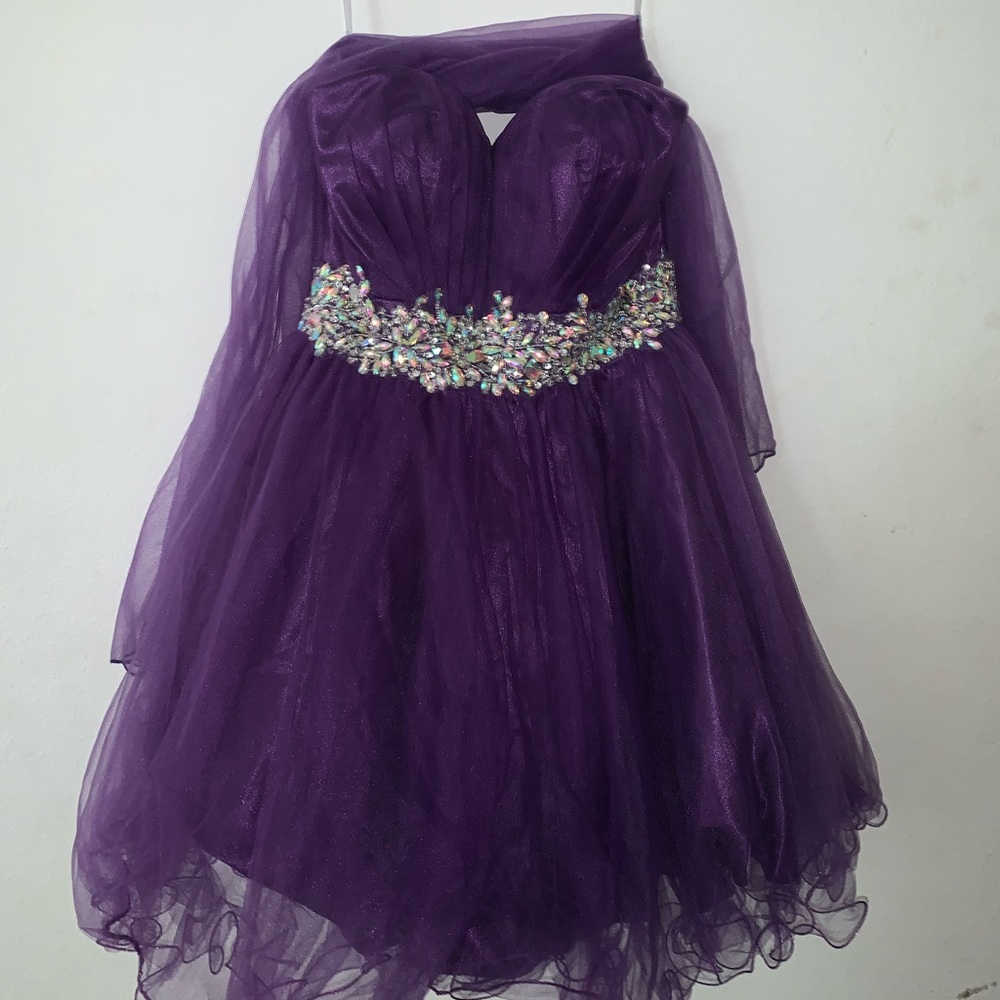 Purple quinceanera/sweet sixteen/prom Dress